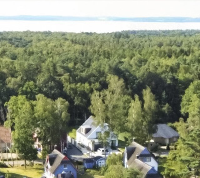 Haus direkt am Waldrand Haus Rügen dierekt am Waldrand
